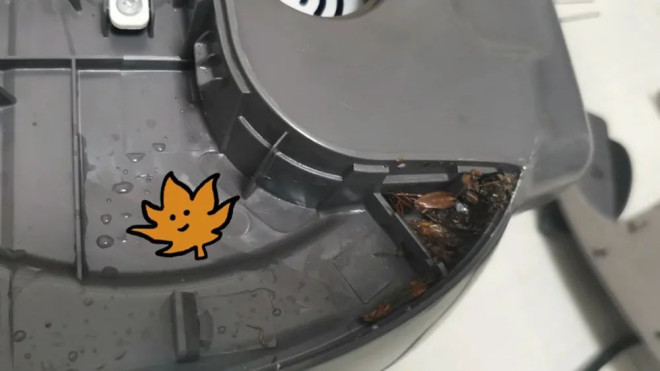 慎入：女子清理电饭锅 看到这场景彻底崩溃了