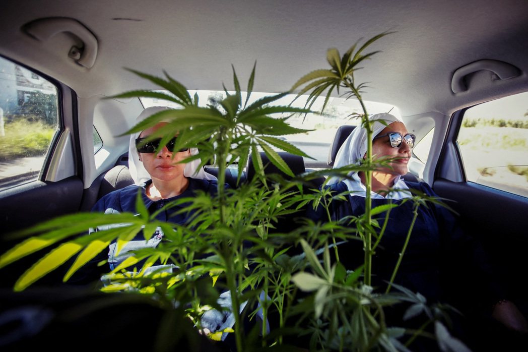 哈们？美墨“山谷姐妹会”：推广大麻合法化的大麻修女们